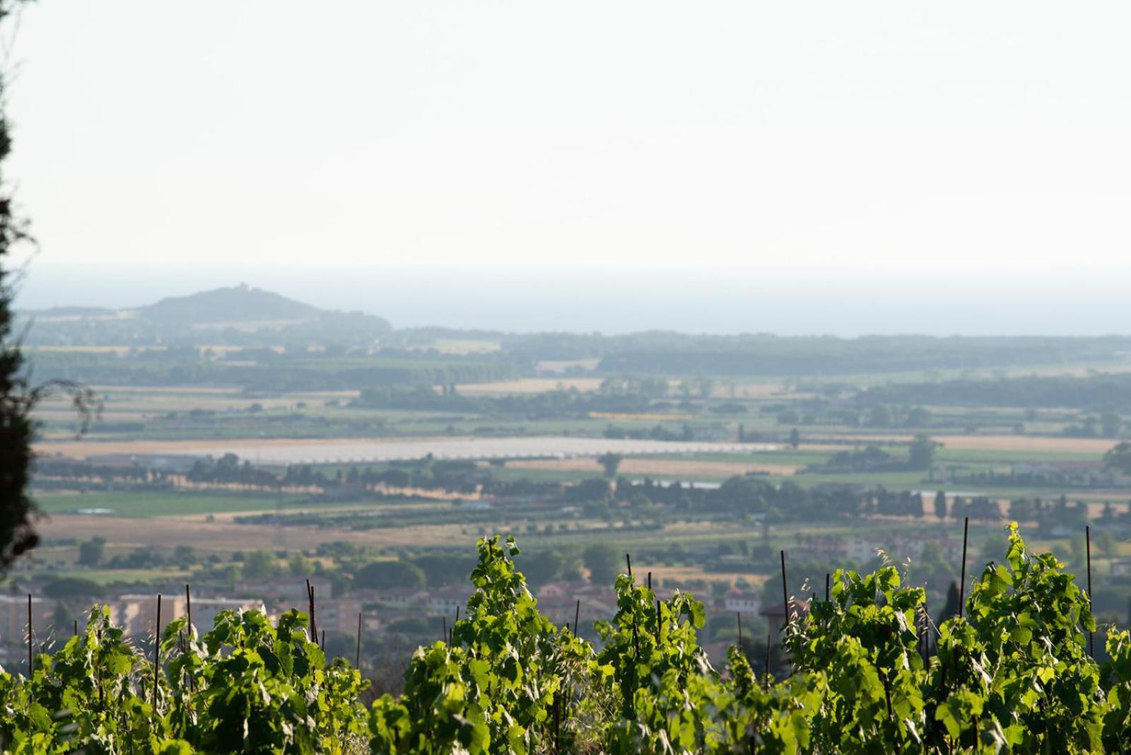 Castello Bonaria Wine &
