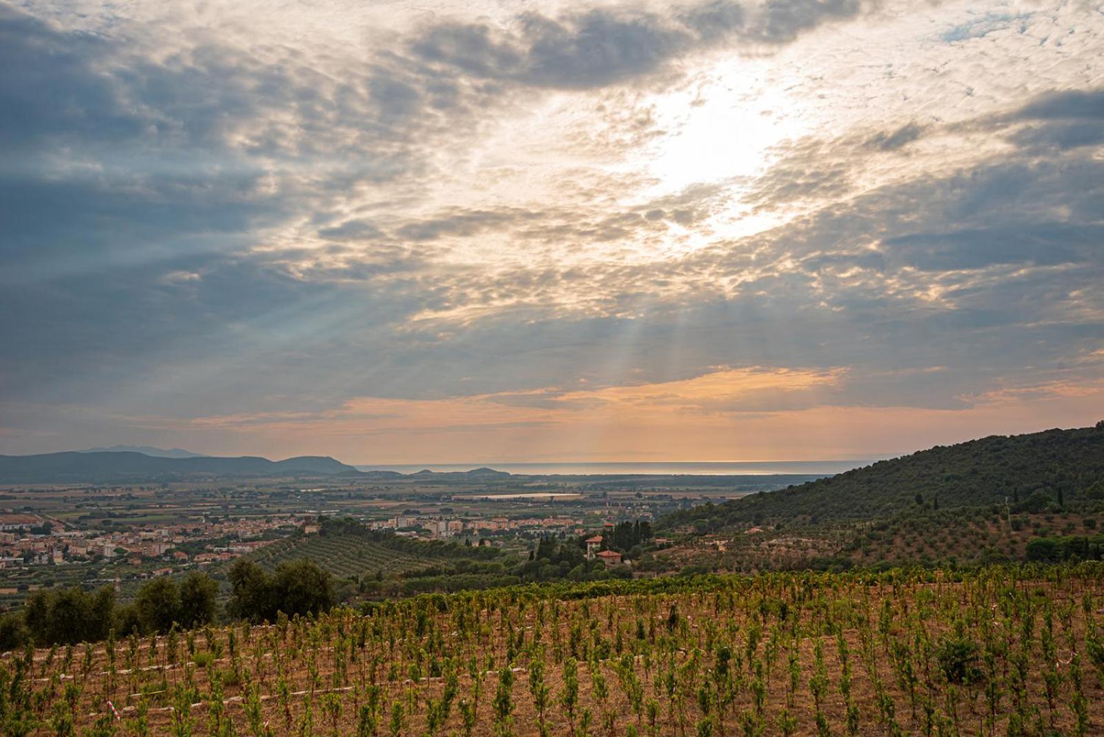 Castello Bonaria Wine & Hotel